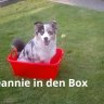 Bernhard
