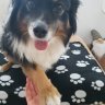 Kessie