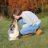 amazing_aussie_maja