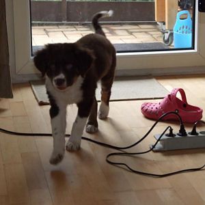 Sam heute ganz groß!