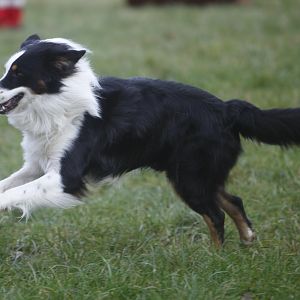 Jack beim Eignungstest