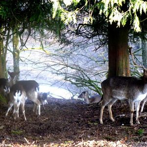 endlich Frühling....