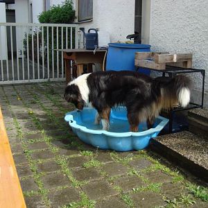 1. Geburtstag von Jon-Boy