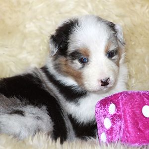 Lenny von Geburt an...