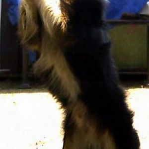 meine Freundin und ich