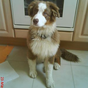 Die kleine Ruby und ihre Freundin Lea