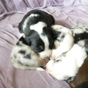 Monty, vom ersten Besuch, bis heute!