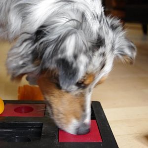 Meine süße Maus Bibi