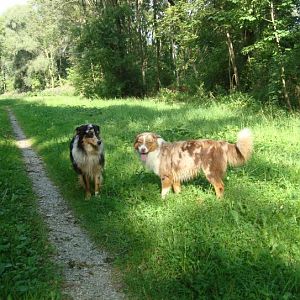 Aussie-Treffen Weixerau