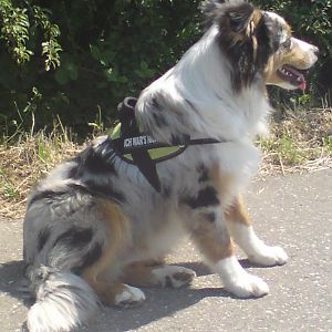 Moritz Mai /Juni 2011