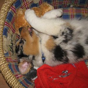 ~Mailo 3 Monate alt~