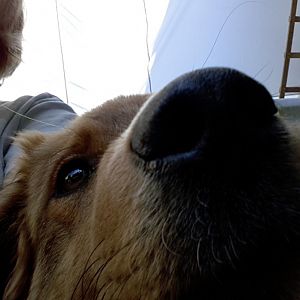 Platz da, hier komm ich