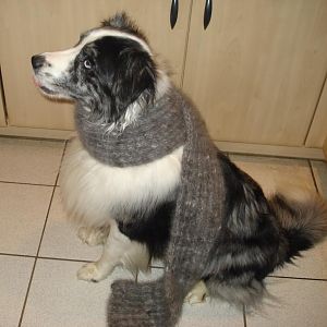 Ein Schal von meinem Fell
