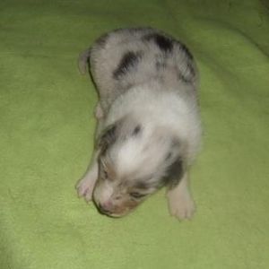 Kira´s erste Wochen