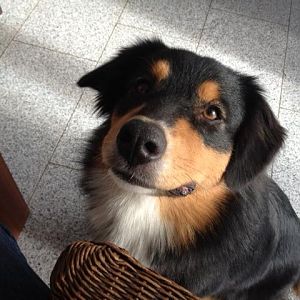 Meine besten Freunde: Herr Kupfer und die Power-Lady...