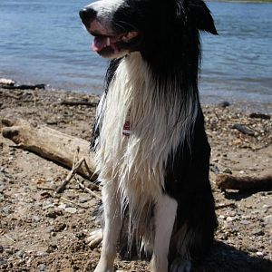 Diaz und das Wasser :)