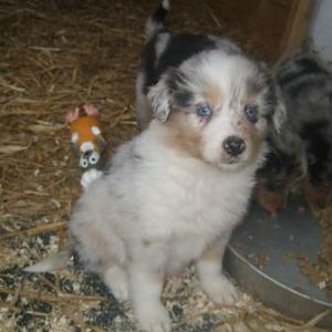 Kira´s erste Wochen Teil 2