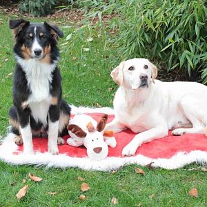 Winterbilder von Sharie