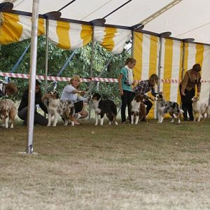 Kiara The Queen of Lerchenmuehle