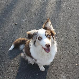 Powerpaar....Leinen los....