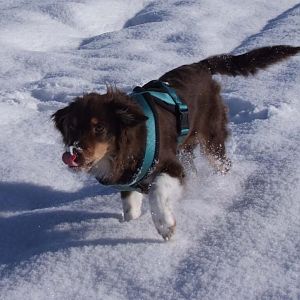 Sonne + Schnee = Spaß