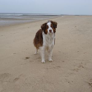 Ein kalter Morgen am Strand