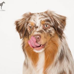 Der kleine Racker...