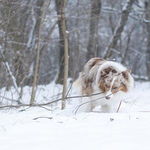 Schnee im März