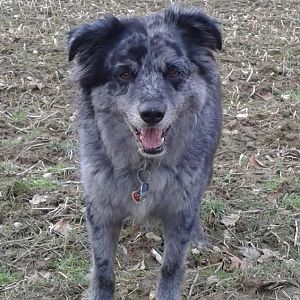 Lucky mitten im Leben