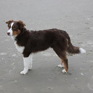 am Strand von ST.PETER ORDING