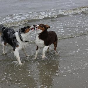 am Strand von ST.PETER ORDING