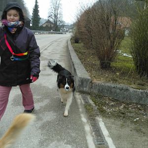 großes Hundebaby :-D