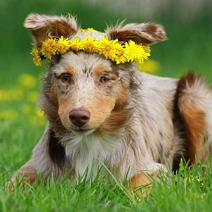 Mein Sonnenschein <3