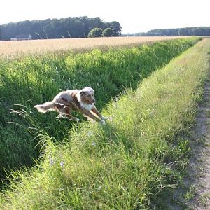 was fühl ich mich wohl :)