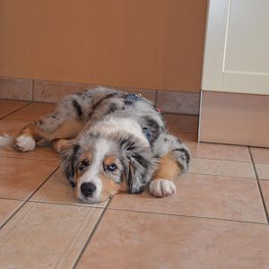 Pepe in der Drachenschlucht, Eisenach!!!