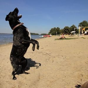 Die Fellnäschen und ich