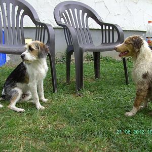 Mein Mitbewohner Nyo