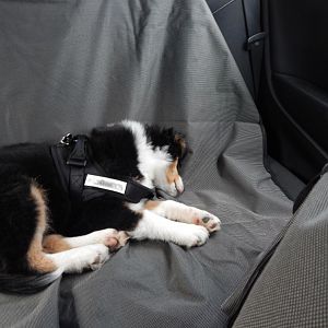 Erster Zooausflug im Opelzoo!