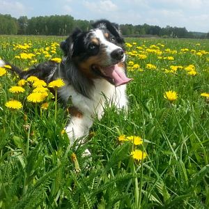 Jack stellt sich vor