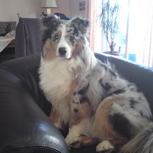 Moritz September Oktober 2011