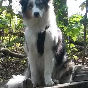 First Impressions Of Söster And Boy