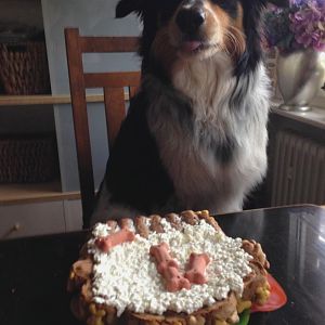 Happy Birthday Murphy 1 Jahr