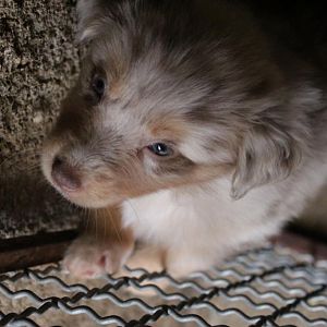 die ersten Wochen von Nele