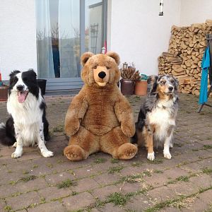 Album von Obedience-Fan