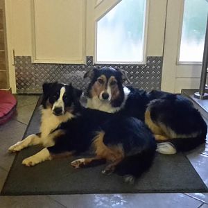 Durch Dick und Dünn