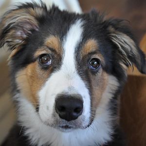 Murphy's ersten 4 Monate