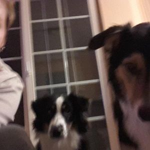 Sie werden Erwachsen