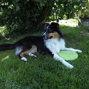 Mein Mika           so schnell werden sie gross