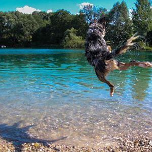 Lucky....unser Pflegling