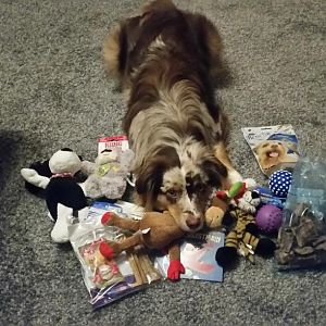 Weihnachts Geschenke